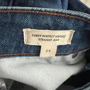 Madewell Curvy Perfect Vintage Straight Jean Size 29